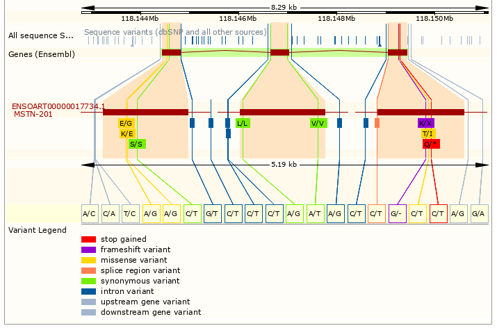 word image 1502 Использование методов редактирования генома CRISPR/CAS для повышения продуктивности сельскохозяйственных животных (2 этапа).