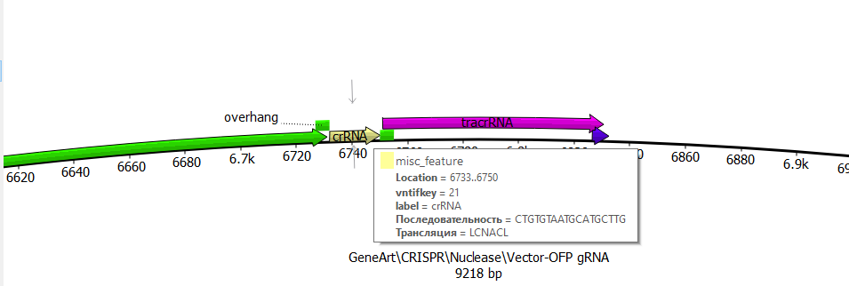 word image 1517 Использование методов редактирования генома CRISPR/CAS для повышения продуктивности сельскохозяйственных животных (2 этапа).