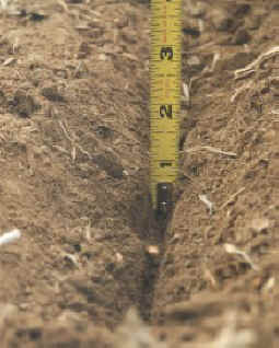 seed-furrow-excavated-no-till-planting.jpg