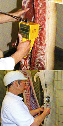 word image 581 Разработка инновационных технологий повышения продуктивности и качества продукции свиноводства