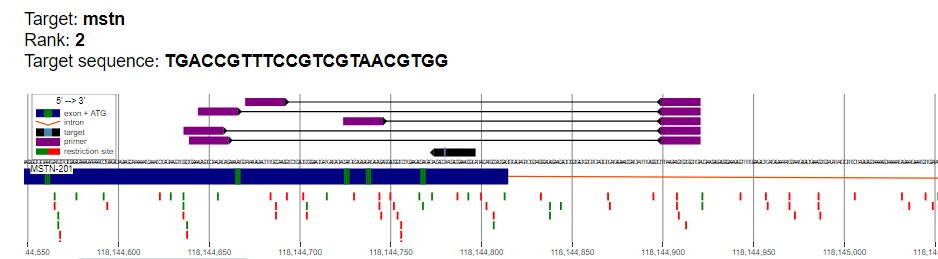 word image 1056 Использование методов редактирования генома CRISPR/CAS для повышения продуктивности сельскохозяйственных животных. II этап – разработка методики внесения генетических конструкций в геном сельскохозяйственных животных