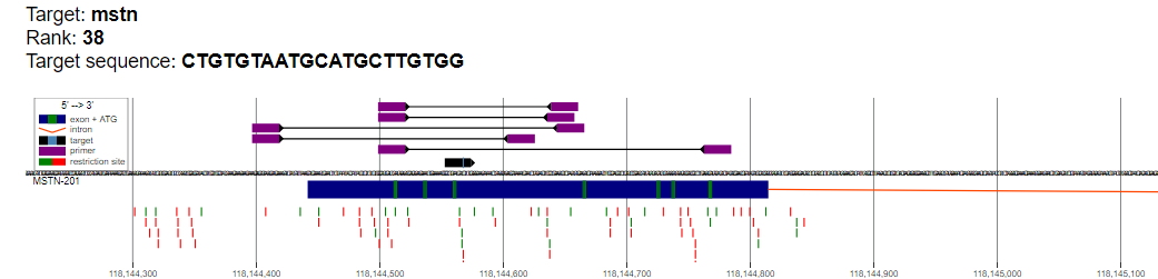 word image 1058 Использование методов редактирования генома CRISPR/CAS для повышения продуктивности сельскохозяйственных животных. II этап – разработка методики внесения генетических конструкций в геном сельскохозяйственных животных